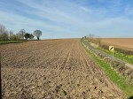 Images for Saxton, Tadcaster, Cotchers Rise, LS24