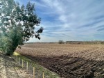 Images for Wetherby, Ingmanthorpe, LS22