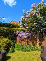 Images for Clifford, Willow Lane, LS23 6JN 