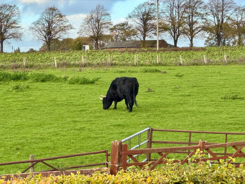 Images for Goldsborough, Knaresborough, Avenue House Court, HG5