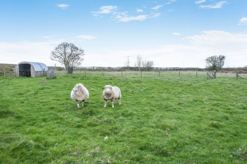 Images for Long Marston ~ Wetherby Road, YO26 