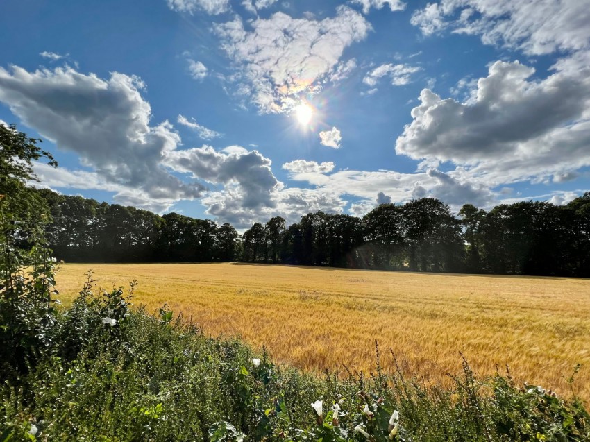 Images for Boston Spa, West Avenue, LS23 