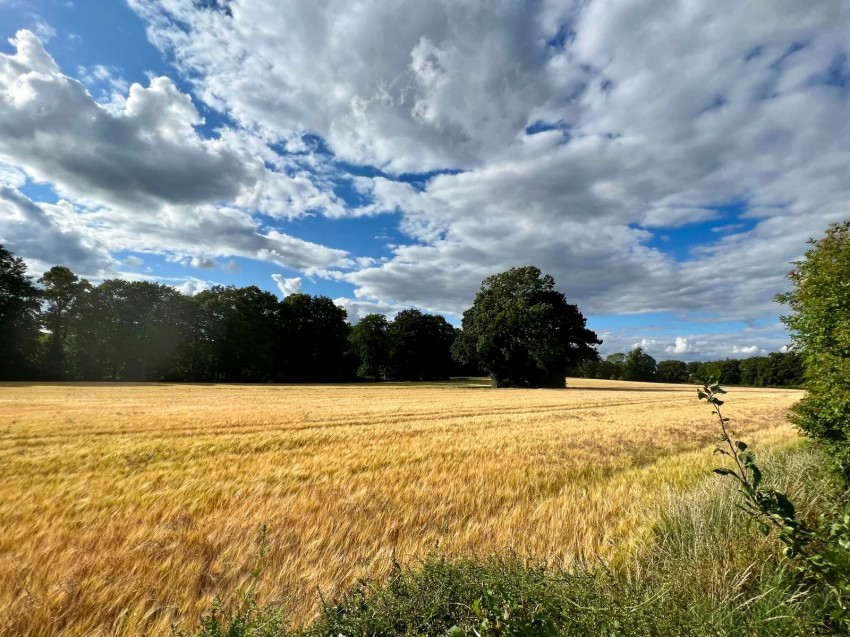 Images for Boston Spa, West Avenue, LS23 